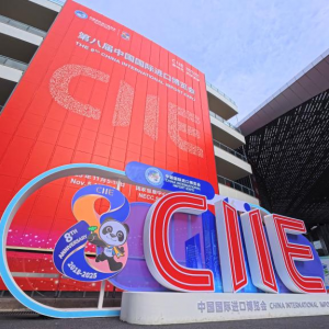 Shanghai well prepared for upcoming CIIE