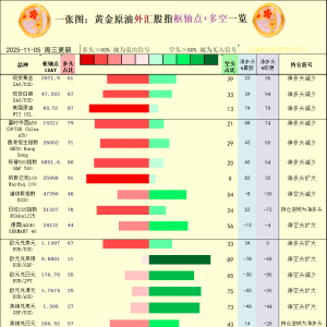 一张图：2025年11月5日黄金原油外汇股指“枢纽点+多空持仓信号”一览 ...