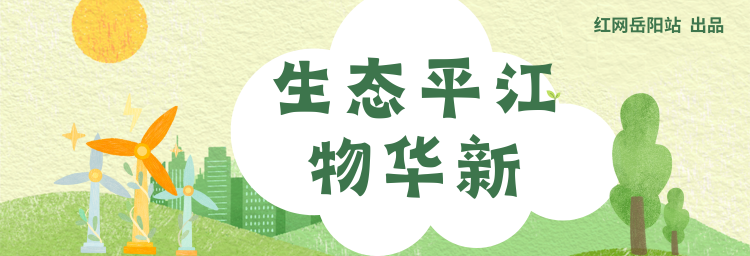 生态平江物华新⑩丨油茶林海生态价值赋能乡村振兴