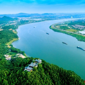 这里是绿心①丨绿心深处“冒新枝” 昭山年轻干部顶上来