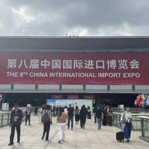 直击第八届进博会：特斯拉Cybercab迎来亚太首秀 12家知名外资车企探索出行新答案 ...