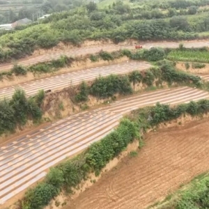 焦点访谈丨攥紧农业“芯片” 提稳中国“菜篮子”