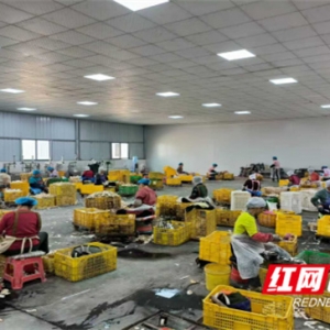 湖南江永：打破年龄限制！“暖心社保”为超龄务工人员撑起“保护伞” ...