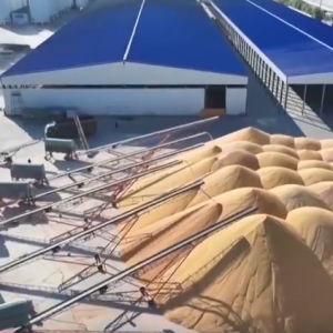 瓜果飘香好“丰”景 特色产业绘就乡村振兴“繁荣图”