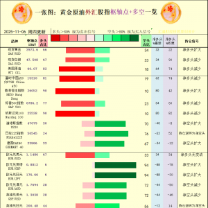一张图：2025年11月6日黄金原油外汇股指“枢纽点+多空持仓信号”一览 ...