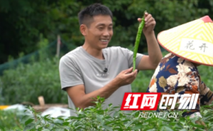 “返乡新农人”李亮：以短视频为笔，画好乡野助农同心圆