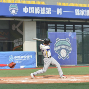 四中全会精神在基层丨建起棒球场，组团种花卉——浙江嘉兴村庄走出抱团发展共富路 ...