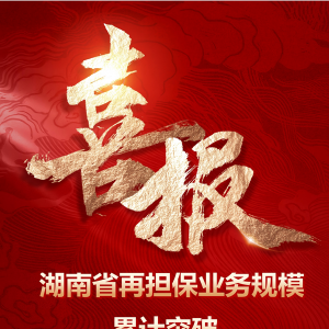 湖南再担保业务规模累计突破3000亿 赋能实体经济高质量发展