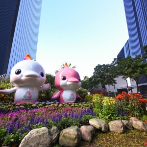 多位奥运冠军领衔，11月7日开始，湖南运动员十五运集中冲金 ...