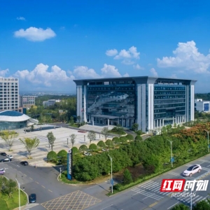 从“小巨人”企业铺天盖地到百亿企业顶天立地 ——看宁乡产业梯次培养 ...