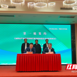 娄底油菜产业迈入“全链开发”新时代