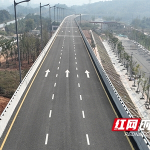 提升枢纽运转效率！长沙高铁西站产业新城这个项目有新进展 ...