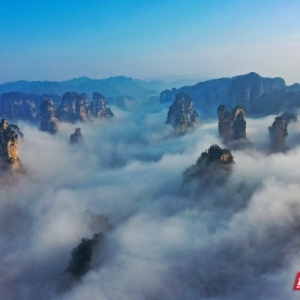 武陵源晨曦云海：三千奇峰的天际盛宴