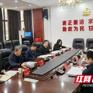 益阳市“最美农村路”接受省级复核验收