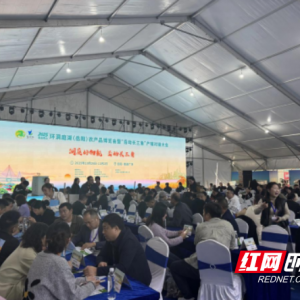 首届环洞庭湖农博会圆满收官 君山区揽金夺誉满载而归