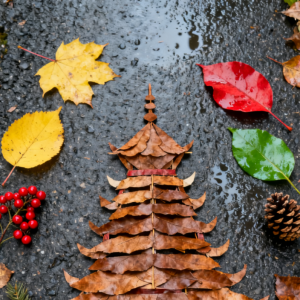 “拾起”最美的秋天 “怀化捡秋地图”来了