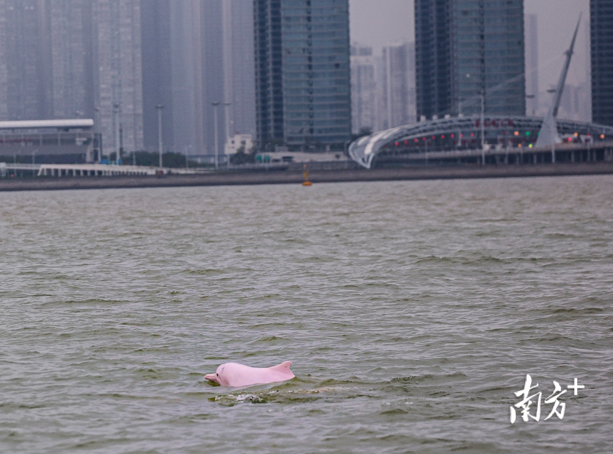 南方+ 石磊 拍摄