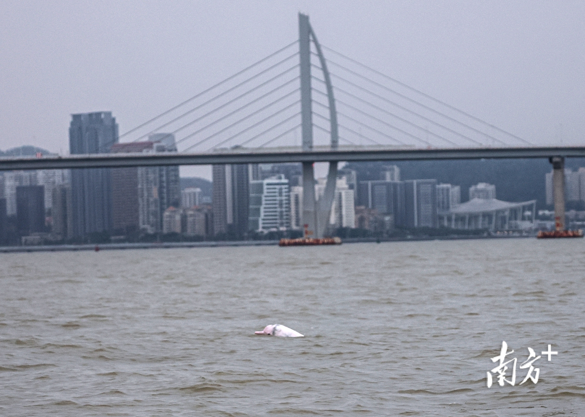 南方+ 石磊 拍摄