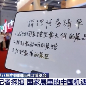 视频丨进博会国家展藏着哪些宝藏？记者变身“寻宝人”带你云逛展 ...
