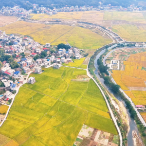 瞰中国｜湖南隆回：晚稻丰收景美如画