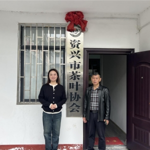 中华财险郴州中支为“东江湖茶”地理标志搭建知识产权防护网 ...