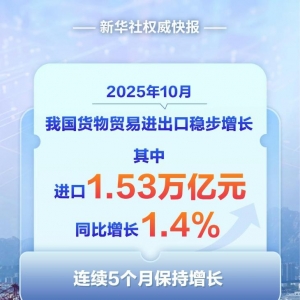 新华社权威快报丨我国进口连续5个月保持增长