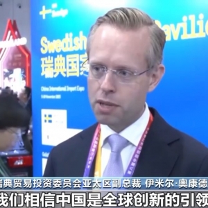 视频丨第八届进博会主宾国全部开馆 众多展品集中亮相