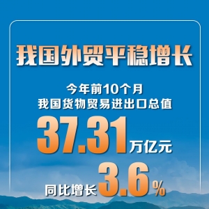 同比增长3.6% 前10个月我国货物贸易进出口平稳增长
