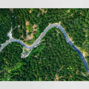 时政画说丨柚见丰年