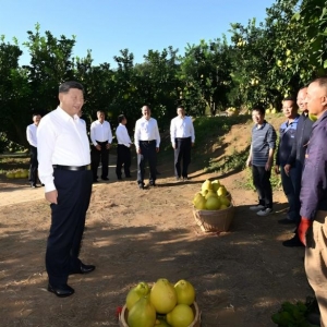 学习进行时｜习近平总书记关心推动老区发展振兴的故事