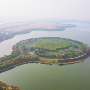 行进的海岸线｜荒芜滩涂蝶变“幸福岸线” 绘就城海相融新篇 ...
