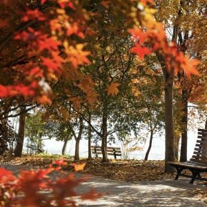 跟着电影去秋游｜这份精选秋日电影旅行地指南，请查收！