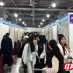 2000余岗位“湘”约星城，助力毕业生高质量就业