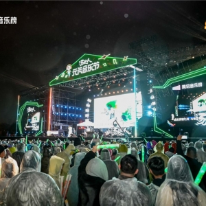 汤达人元气音乐节燃爆长沙大王山 数万乐迷共赴元气音乐盛宴 ...