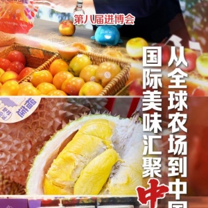第八届进博会｜从全球农场到中国餐桌 国际美味汇聚中国大市场 ...
