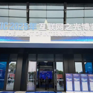 How AI bridges borders at 2025 WIC Wuzhen Summit