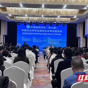 从文明摇篮到未来注脚——中国湿地论坛在长沙举行