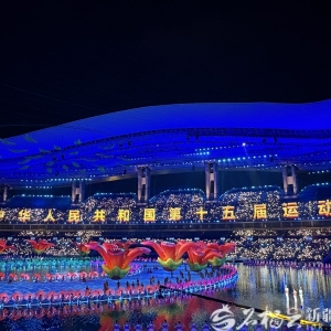 山海同辉 梦想同行——第十五届全国运动会开幕式上的新疆印记 ...