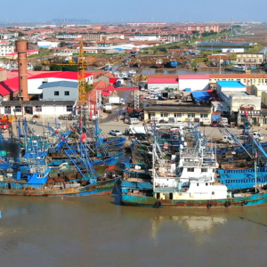 行进的海岸线丨渤海湾畔“渔旅融合” 小渔村启动蓝色新引擎 ...