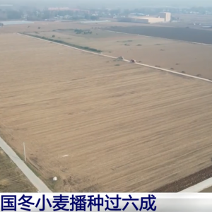 “良机+良技+良种”助力秋冬种按下“加速键” 端稳端牢“中国饭碗” ...