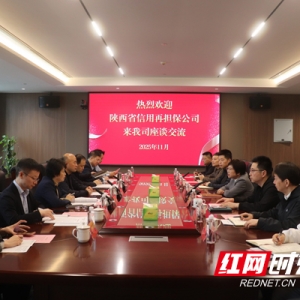 湖南省融资担保集团与陕西省信用再担保公司开展工作交流
