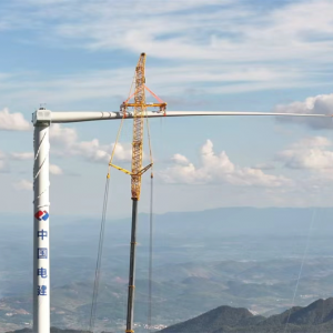 桂阳县：追风逐电 向“绿”发展