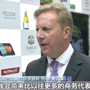 视频丨从贸易合作到创新协同 进博会让跨国公司看见中国大市场 ...