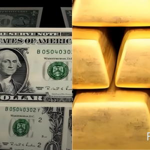 美国停摆危机结束，黄金为何逆势破位？