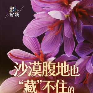 “新”上好物｜沙漠腹地也“藏”不住的“红”颜秘方