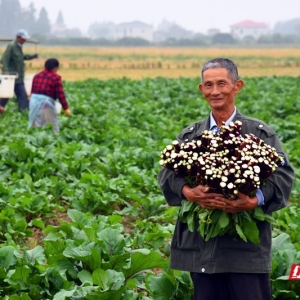 组图丨《秋天的收获》