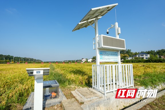 桐仁桥灌区智能远程终端灌溉系统.marked.jpg