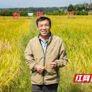 从一组辩证法看湖南治水之变