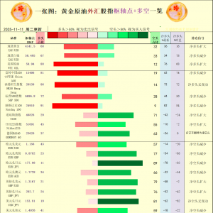 一张图：2025/11/11黄金原油外汇股指“枢纽点+多空持仓信号”一览 ...