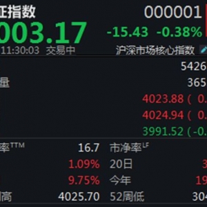 A股震荡走低，沪指半日下跌0.38%